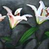 Week In The Life Of A Lily - Acrylic Paintings - By Julia Patience, Realism Painting Artist